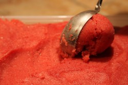 Sorbet fraise