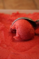 Sorbet Framboise